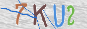 キャプチャ画像