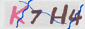 キャプチャ画像