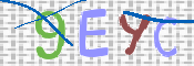 キャプチャ画像