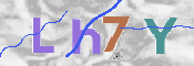 キャプチャ画像