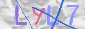 キャプチャ画像