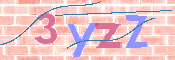 キャプチャ画像