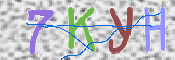 キャプチャ画像