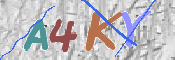 キャプチャ画像